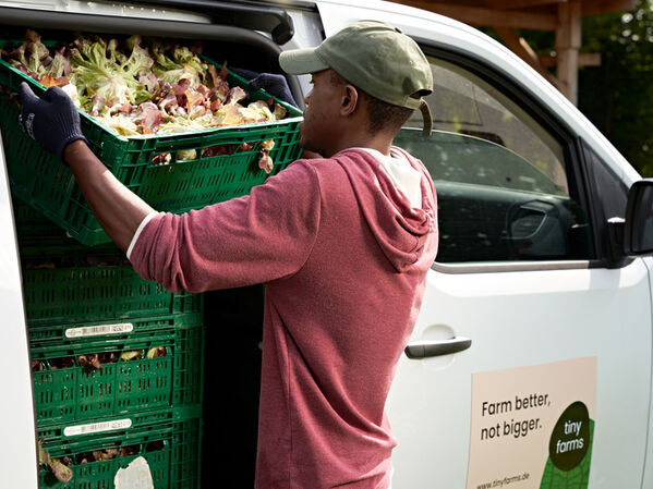 Ein Mann lädt Kisten mit Salat in ein Transportfahrzeug der Tiny Farms Berlin.