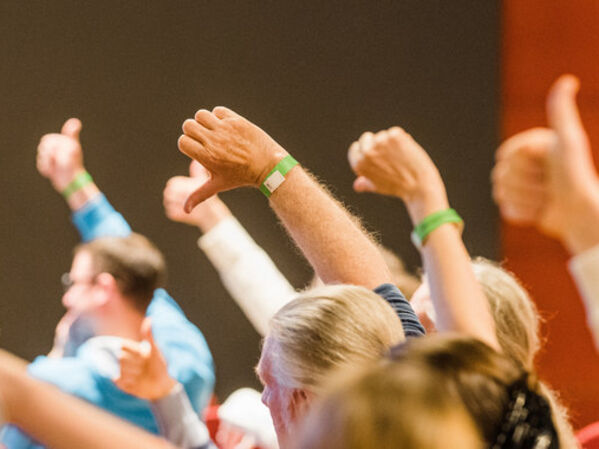 Das Bild zeigt eine Abstimmung mit Handzeichen.