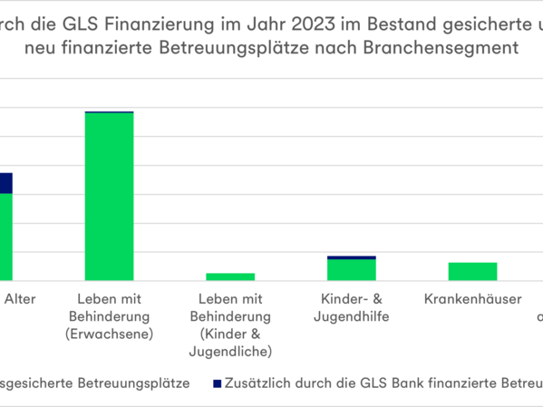 Dieses Diagramm zeigt die durch die GLS Finanzierung im Jahr 2023 im estand gesicherten und neu finanzierten Betreuungsplätze